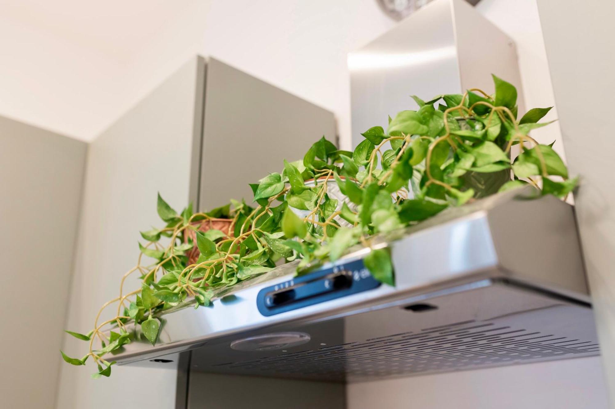 Politeama Charming Apartment パレルモ エクステリア 写真
